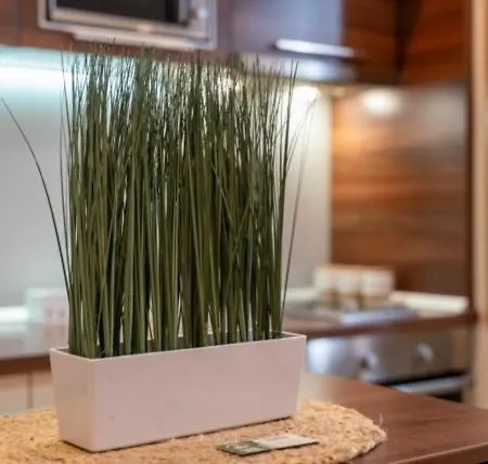 Διαμέρισμα Mihajlo Kalman Ζλάτιμπορ