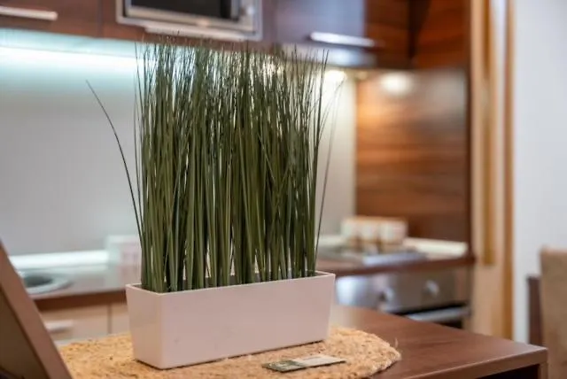 아파트 Mihajlo Kalman 즐라티보